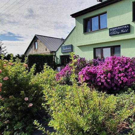 Skalny Widok Villa Hucisko  Bagian luar foto