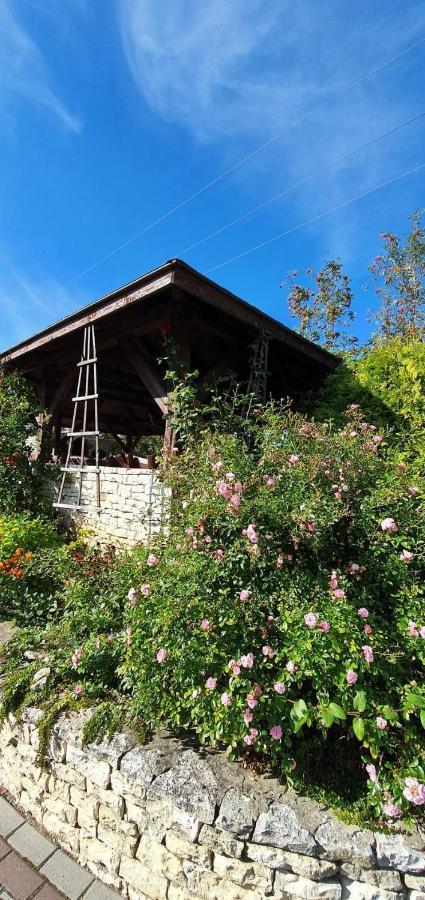 Skalny Widok Villa Hucisko  Bagian luar foto