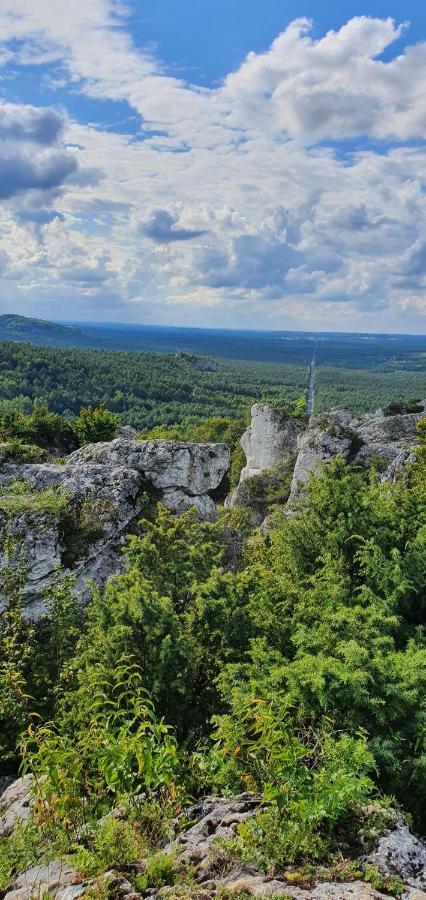 Skalny Widok Villa Hucisko  Bagian luar foto